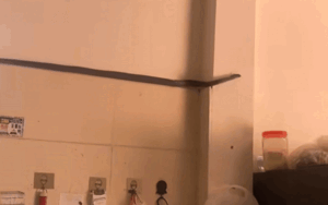 Đang nấu ăn, người phụ nữ hoảng hồn khi thấy bé na trước mặt, phản ứng sau đó khiến ai cũng nể