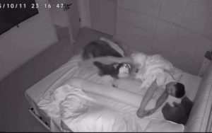 Người đàn ông say ngủ, xem lại camera phòng ngủ mới biết sự việc bất ngờ đã xảy ra