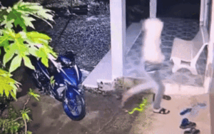 Gần 2 phút đứng cạnh con rắn lục, nam thanh niên khiến dân tình nín thở theo dõi diễn biến