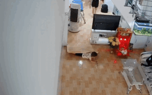 Thấy 'búp măng non' bị ngã, bố mẹ chạy ra đỡ và cái kết không ai ngờ tới