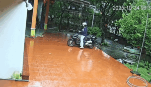 Sang nhà bạn rủ đi ăn, cô gái nhận cái kết ngoài dự kiến