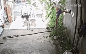 Thót tim khoảnh khắc người đàn ông rơi tự do từ trên cao