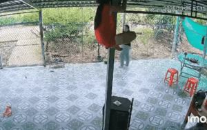 Chơi trốn tìm, bé gái khiến dân tình cười ngất khi xem camera