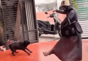 Clip 5 giây vô tư của cô gái, cư dân mạng xem xong không khỏi lo lắng