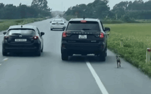 Chiếc ô tô đi đón dâu bất ngờ tấp vào lề, diễn biến tiếp đó khiến ai cũng bất ngờ