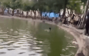 Clip cô gái không mặc quần áo nghi bị đuối nước ở hồ Hoàn Kiếm gây xôn xao, Công an nói gì?