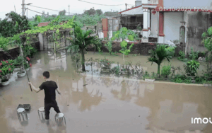 Clip: Câu cá trong sân nhà, thanh niên khiến dân tình bất ngờ với kết quả