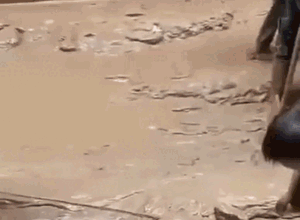 Xúc động cảnh học sinh vùng cao gạt bùn, cùng nhau dọn dẹp lớp học sau bão số 10