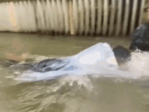 Nam thanh niên có hành động khiến dân mạng ngơ ngác không hiểu lý do