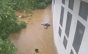 Bị lũ cuốn trôi, cô gái vẫn quyết giữ khư khư một thứ trên tay