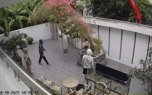 Clip: Cây hoa giấy sắp được chuyển đi thì bất ngờ gặp sự cố, chủ nhà xem camera mà tiếc hùi hụi