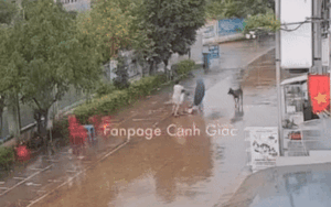 Clip: 3 mẹ con vừa bước ra đường thì gặp con chó becgie, diễn biến tiếp đó ai cũng thót tim