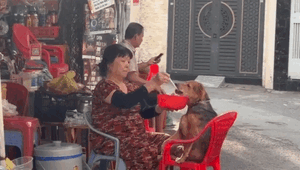 Người phụ nữ tương tác với thú cưng theo cách lạ, dân tình tròn mắt theo dõi