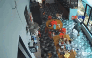 Clip: Con rắn lớn bò vào nhà, người phụ nữ xử lý khiến dân tình nín thở theo dõi