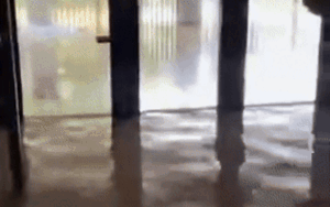 Cô gái khoe clip gội đầu bằng nước lũ, dân tình lập tức 'bóc mẽ' sự thật