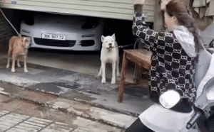 Clip: Cô gái đứng nhảy nhót, dân mạng chỉ lo ngay ngáy một điều