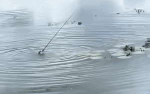 Thấy đôi bàn tay cử động dưới nước, dân tình phải dụi mắt nhiều lần mới biết sự thật