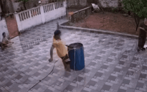 Thanh niên giật bắn mình khi đang kéo thùng phi, xem clip ai cũng hoảng sợ theo