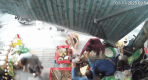 Đang thong dong trên vỉa hè, 2 người đàn ông không ngờ đến diễn biến đáng sợ tiếp theo