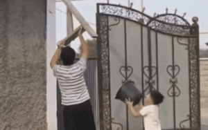 Clip: Dáng hình của 2 đứa trẻ ra sức cứu chú mèo con gây sốt mạng xã hội