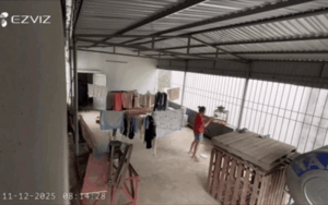 Chồng vắng mặt, kiểm tra camera ở nhà liền đau lòng khi thấy việc làm gây sốc của vợ