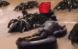 Clip: Xót xa nông dân Lâm Đồng bám ruột xe tải, bơi vào vườn cố vớt vát từng quả thanh long chín