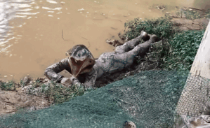 Con 'thủy quái' nằm ở bờ sông gây xôn xao, sự thật khiến nhiều người ngã ngửa