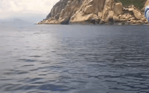 Clip: Gần trăm con cá heo bơi tung tăng tại vùng biển gần Hòn Dung - Vịnh Nha Trang