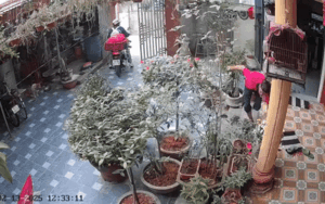 Clip: Nữ sinh lên thành phố học tập, xem lại camera ở nhà liền xúc động khôn nguôi