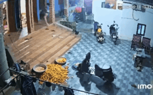 Video gây 'bão': Nam sinh hét 3 từ khiến cả nhà vỡ oà sau khi xem điểm thi