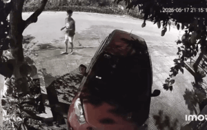 Video: Nam sinh xin quả xoài qua camera, chủ nhà xem lại được phen cười ngất