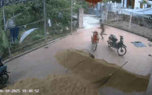 Video: Thanh niên đang làm diều, bất ngờ nhận được món quà 'từ trên trời rơi xuống'
