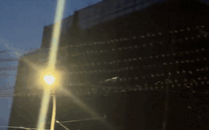 Clip: Hàng nghìn con chim phủ kín các trụ điện, cảnh tượng khiến người dân lo lắng