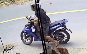 Clip: Bị 'tóm sống' khi trộm sầu riêng, gã đàn ông nói 2 từ khiến chủ nhà phì cười