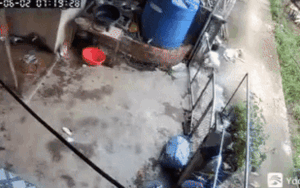 Clip: Tưởng bé trai trèo cổng trốn đi chơi, camera ghi lại cảnh bất ngờ ở đoạn cuối