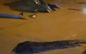 Clip: Mái nhà trôi trong 'biển nước' ở Nghệ An khiến người dân chỉ biết thốt lên 'trời ơi'