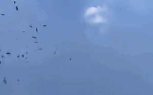 Gần 130 triệu đồng từ trên trời rơi xuống trong đám tang của người đàn ông