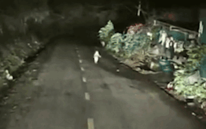 Clip: Tài xế lái xe ban đêm, camera hành trình ghi lại cảnh run sợ