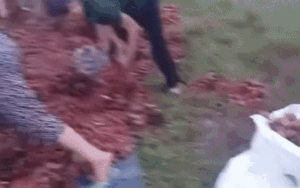 Clip: Xe tải chở vải gặp sự cố phải mang đi sửa, lúc quay lại 4 tấn vải đã bị nhặt hết