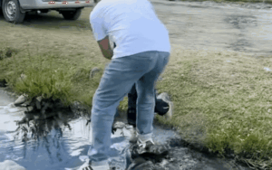 Ông bố bế con qua suối bị trượt chân té, pha xử lý đi vào lòng đất