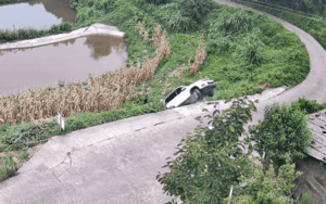 Người đàn ông đang lom khom hái rau, bất ngờ gặp phải tai nạn 'thót tim'