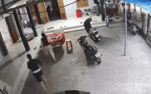 Clip: 3 cô gái đang ngồi 'tám chuyện' bất ngờ bỏ chạy tán loạn, biết lý do ai cũng đồng cảm