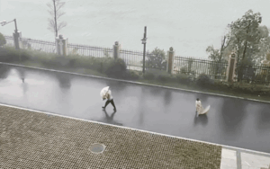 Mặc kệ con gái la hét cầu xin. người mẹ vẫn nhẫn tâm bỏ mặc con trong giông bão