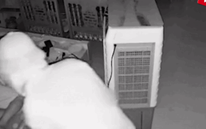 Clip: Kiểm tra camera, chủ nhà ớn lạnh khi thấy cảnh đáng sợ lúc rạng sáng