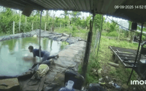 Clip: Bé trai chơi đùa ở cạnh hố nước sâu, camera ghi lại cảnh đáng sợ