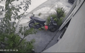 Clip: Mua được quả mít về đến nhà thì mất, cô gái check camera thấy cảnh dở khóc dở cười