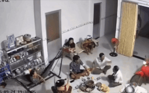 Cả nhà đang ăn tối liền hoảng loạn la hét, xem clip ai nấy mới hiểu lý do