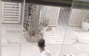 Clip: Con gái bị bế đi mà không hay biết, ông bố hoảng loạn chạy đi tìm