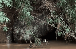 Clip: 'Con rắn' khổng lồ lấp ló bên bờ sông khiến cộng đồng mạng rùng mình