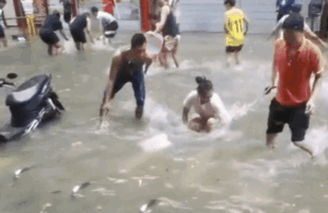 Clip: Khu phố hóa dòng sông đầy cá sau cơn bão, người dân đổ xô ra đường bắt